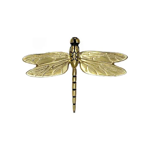 Michael Healy Dragonfly Quirky Door Knocker